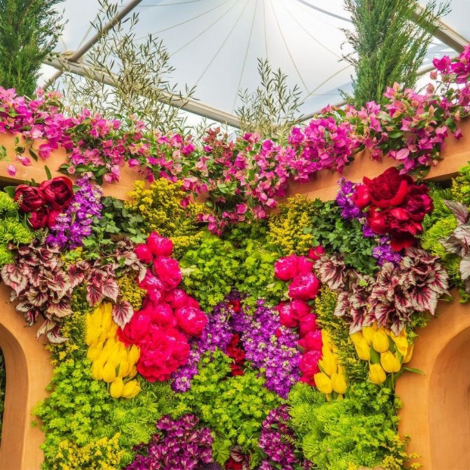 Celebrate the world’s greatest flower show