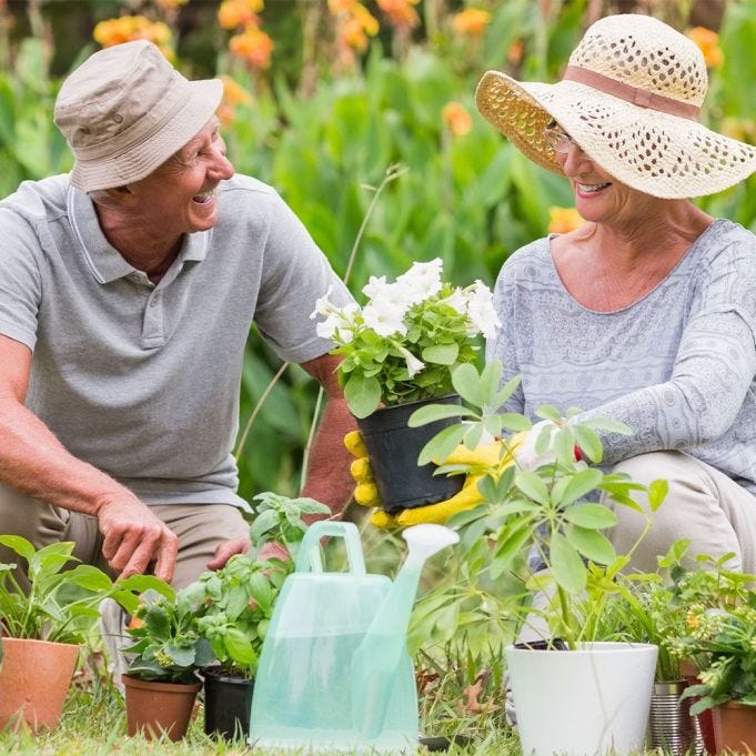 Gardening jobs for June