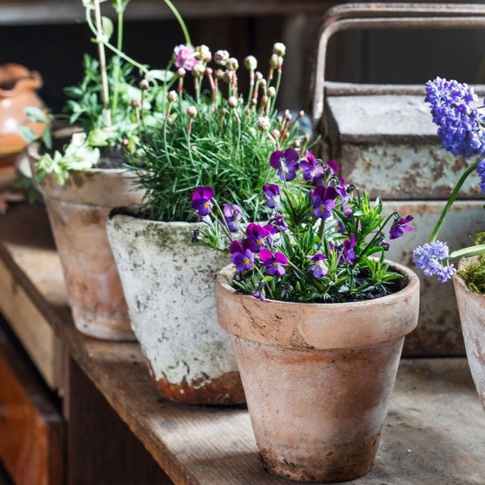 National Gardening Week 2023