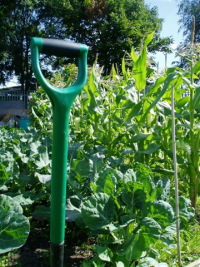 Allotment Week