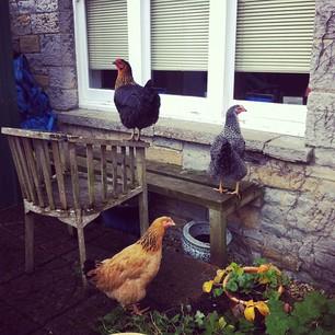 Bessie, Mabel and Maggie