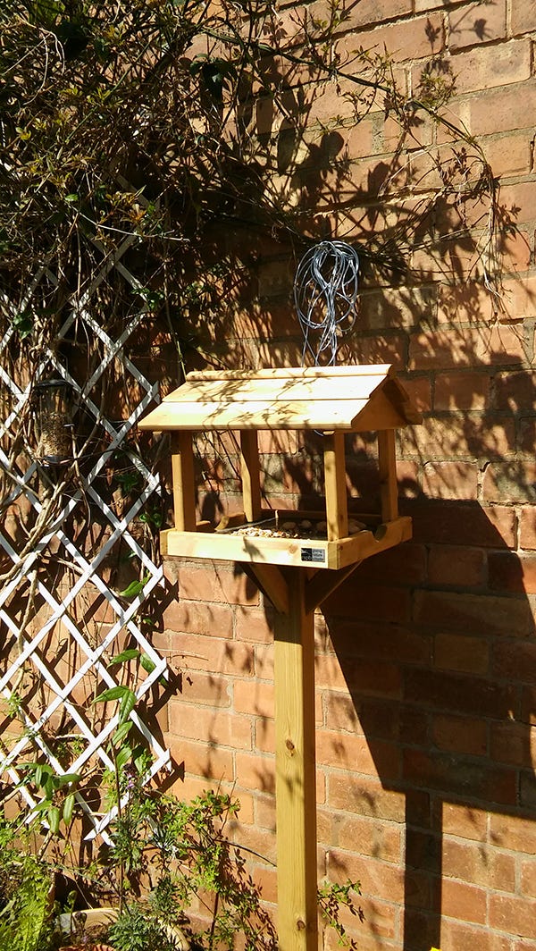 Bird Table