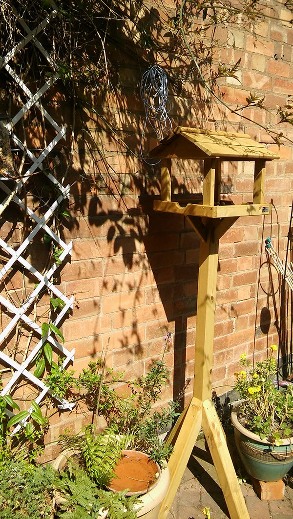 Bird Table