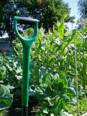 National Allotment Week