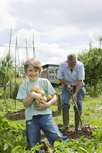 Allotment