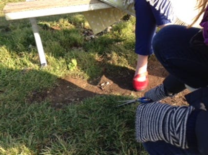 Tidying up the grass with scissors