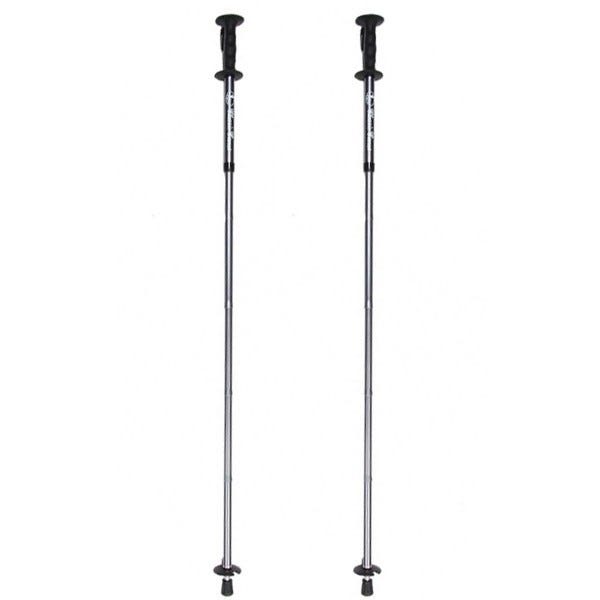 Two Folding Hiking Poles