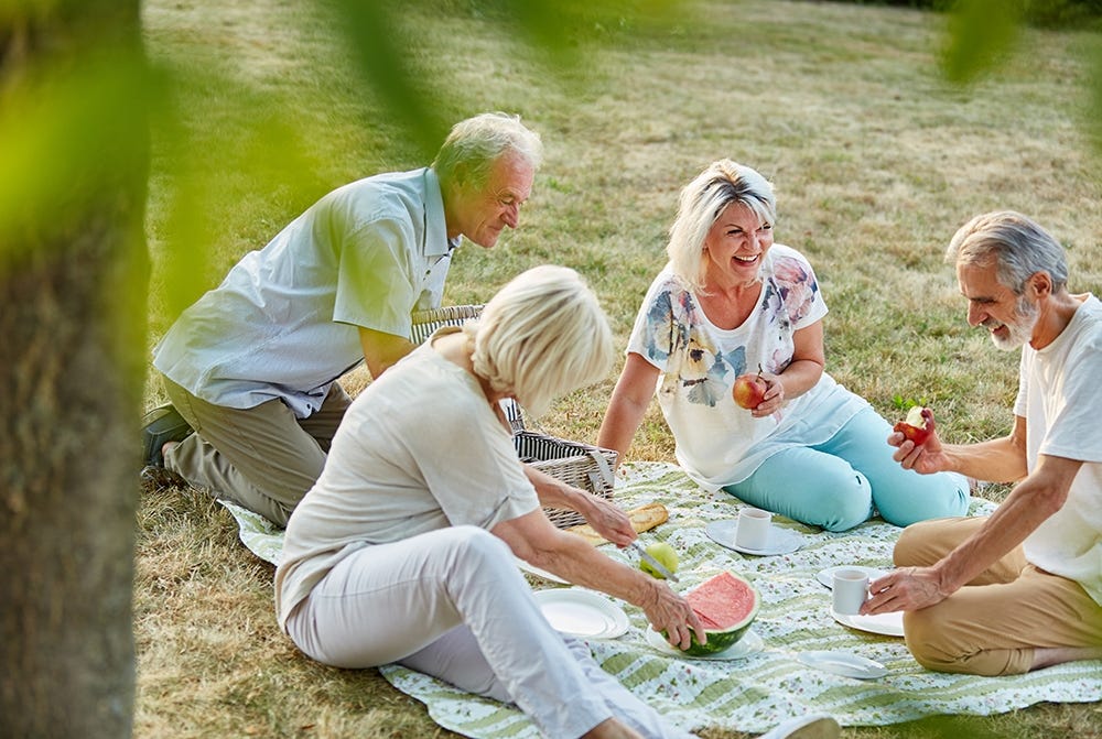 Picnic