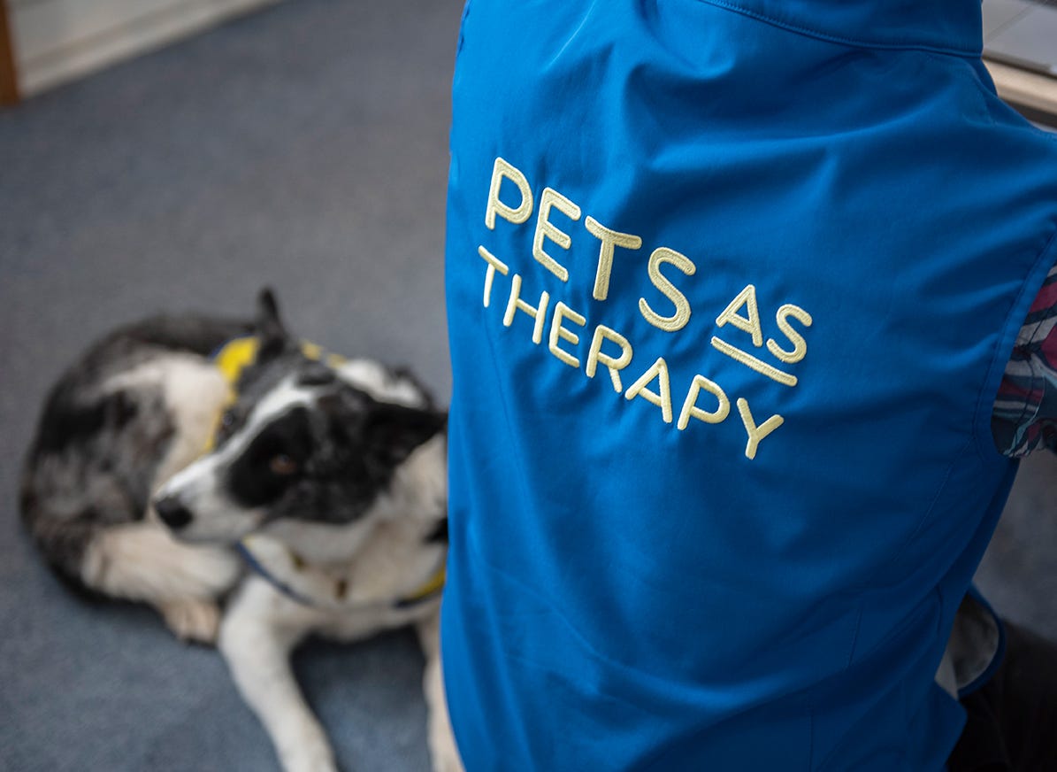 Pets As Therapy