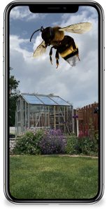 Bumblebee Conservation Trust App