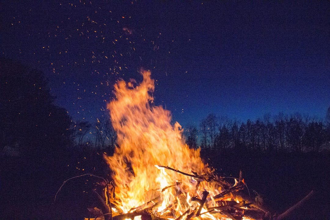 Bonfire with silhouette of trees in distance