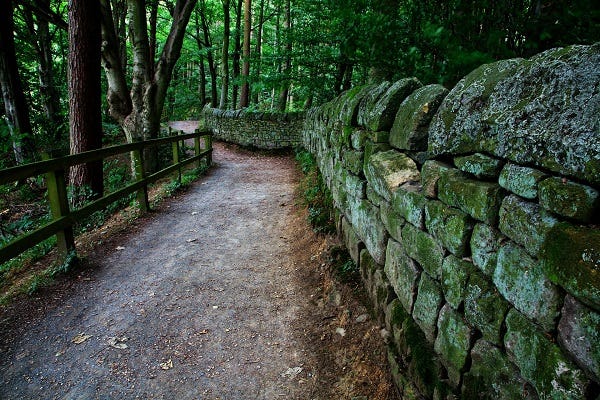 Country walking path