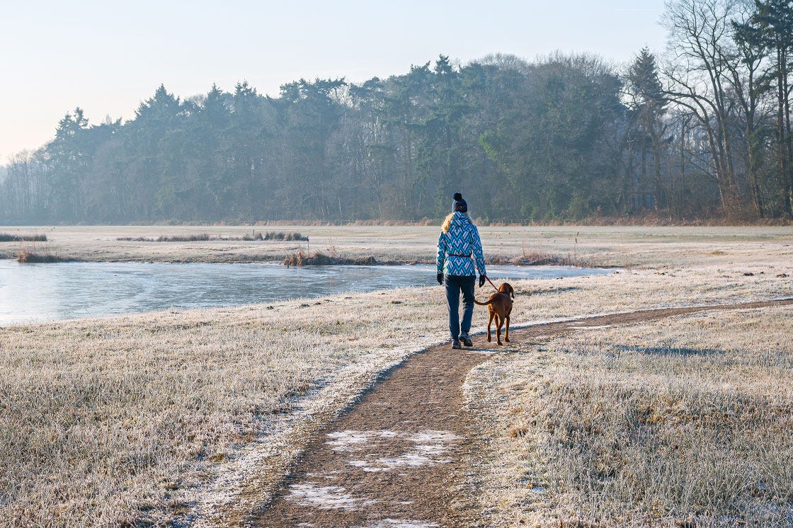 Walking the dog in wintertime