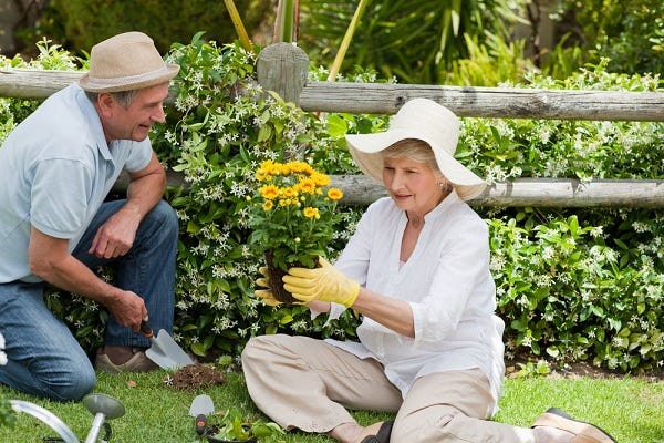 Older person enjoying her garden