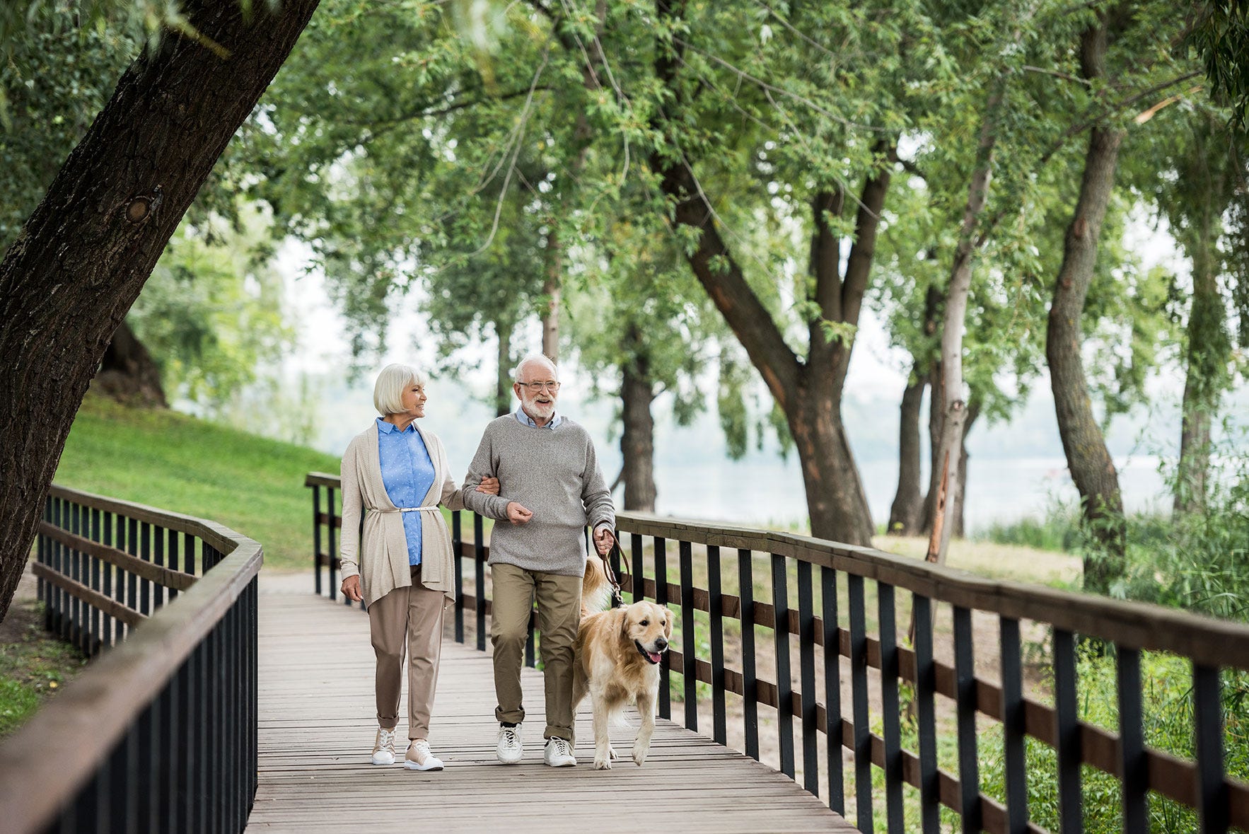 People walking dog in park