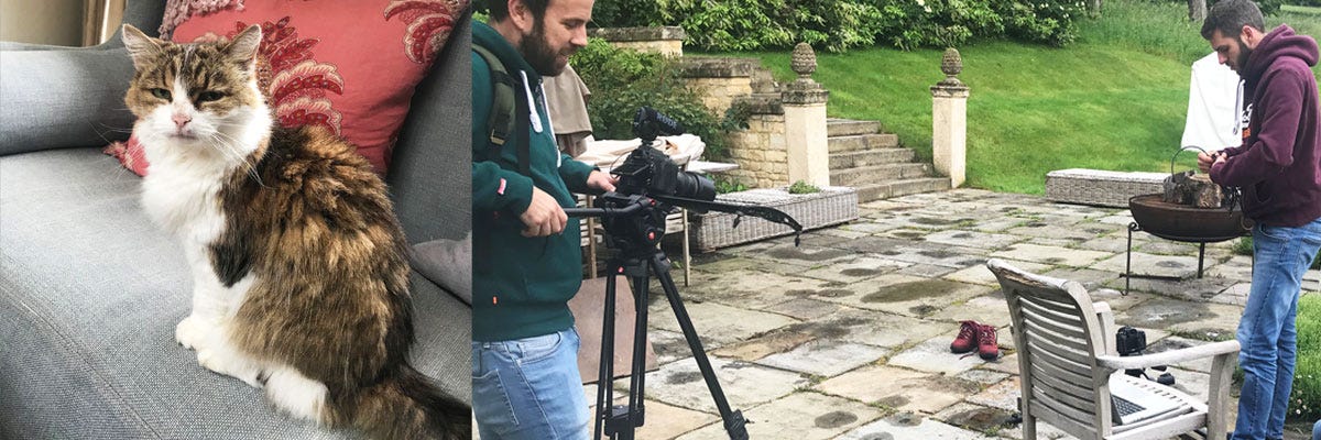 A collage featuring a cat and a team of photographers shooting some boots outside