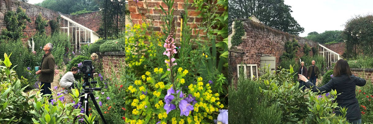 A collage featuring beautiful flowers in a walled garden and a photographer directing models