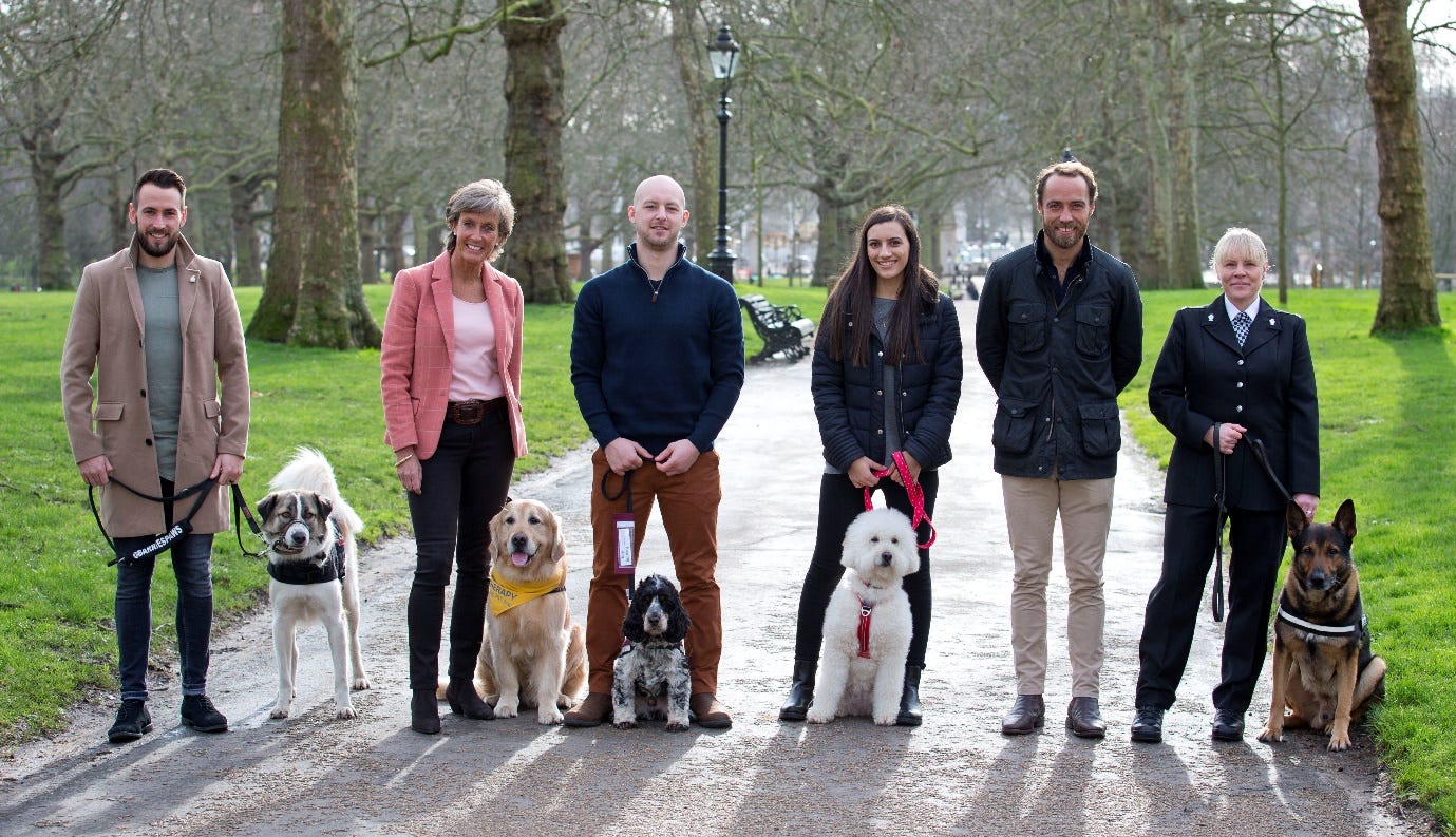 Pets As Therapy dogs with their owners