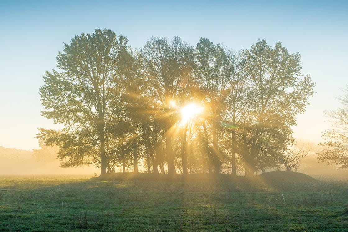 A winter sunrise