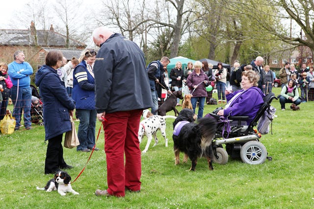 Puppy competition