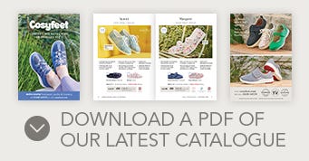 Download PDF