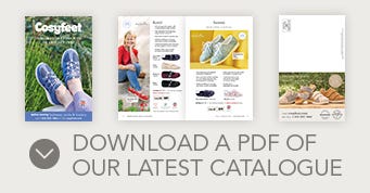 Download PDF